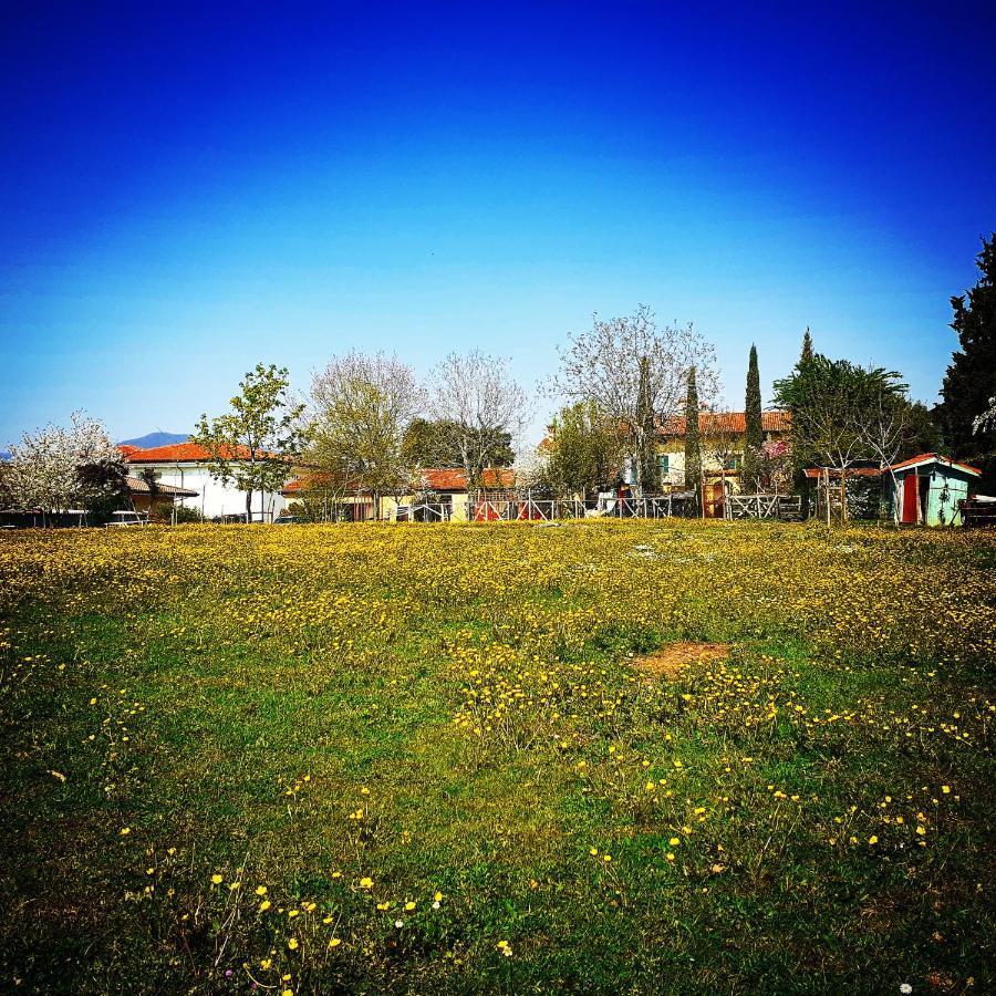Cascina Corteprimavera, B&B Del Baliot Passirano ภายนอก รูปภาพ
