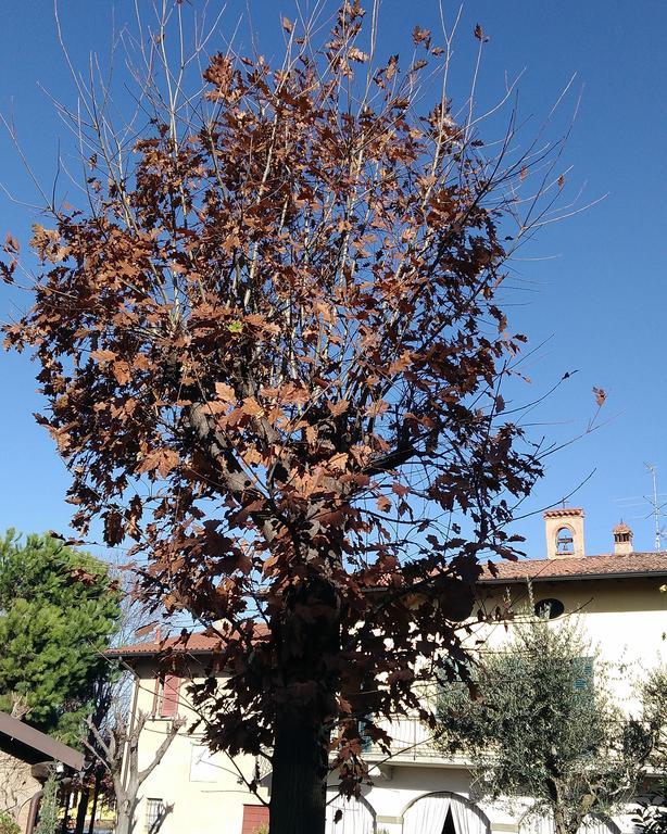 Cascina Corteprimavera, B&B Del Baliot Passirano ภายนอก รูปภาพ