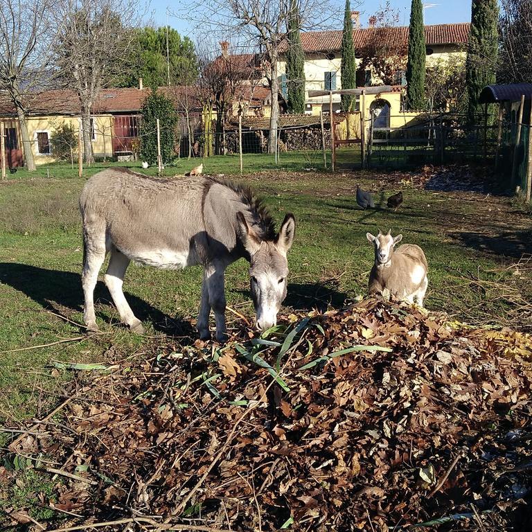 Cascina Corteprimavera, B&B Del Baliot Passirano ภายนอก รูปภาพ