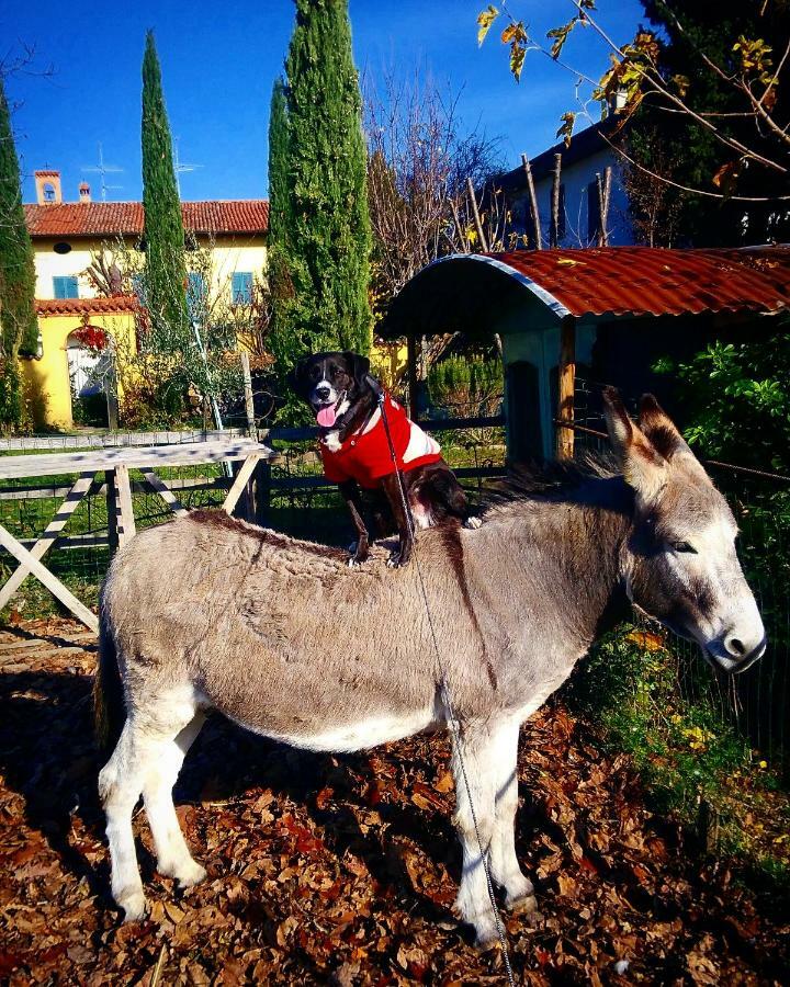 Cascina Corteprimavera, B&B Del Baliot Passirano ภายนอก รูปภาพ