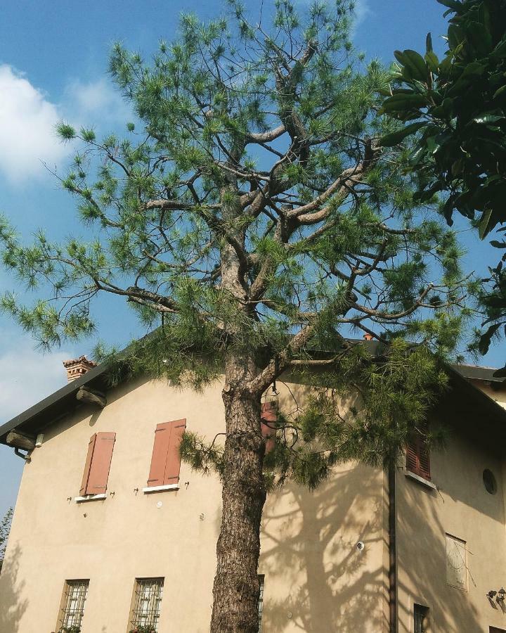 Cascina Corteprimavera, B&B Del Baliot Passirano ภายนอก รูปภาพ